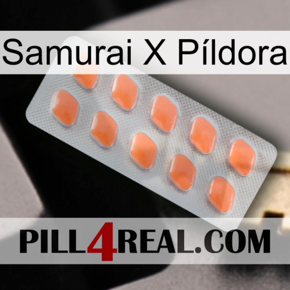 Samurai X Píldora 26.jpg